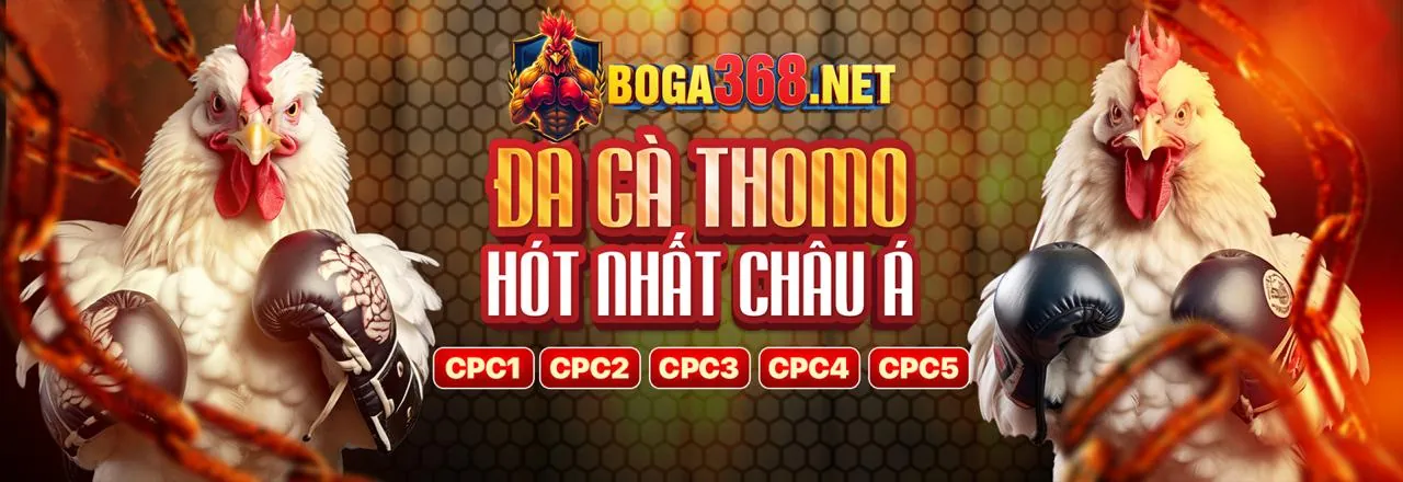 Đá Gà Trực Tuyến full88 casino